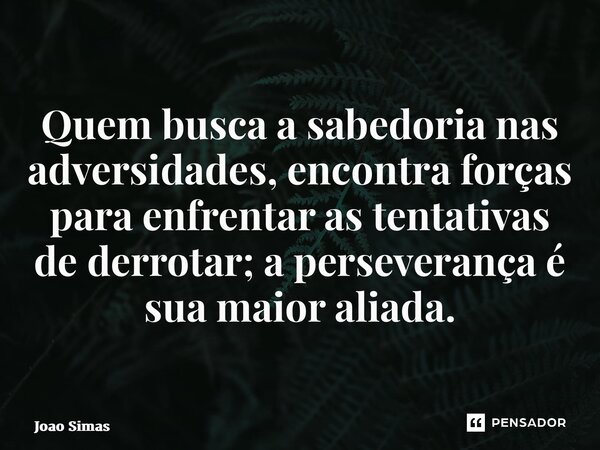 ⁠Quem busca a sabedoria nas adversidades, encontra forças para enfrentar as tentativas de derrotar; a perseverança é sua maior aliada.... Frase de Joao Simas.