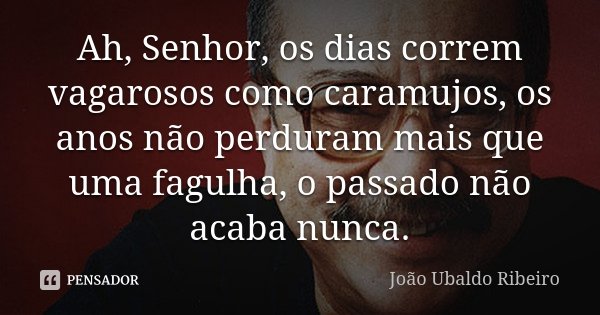 Ah, Senhor, os dias correm vagarosos como caramujos, os anos não perduram mais que uma fagulha, o passado não acaba nunca.... Frase de João Ubaldo Ribeiro.