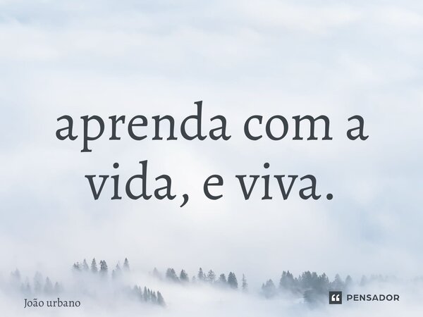 ⁠aprenda com a vida, e viva.... Frase de João urbano.