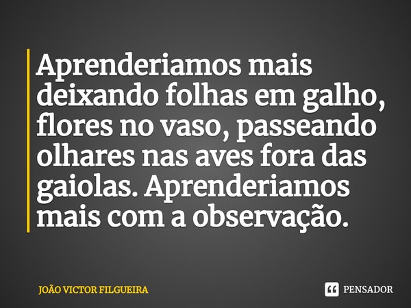 ⁠Aprenderiamos mais deixando folhas em galho, flores no vaso, passeando olhares nas aves fora das gaiolas. Aprenderiamos mais com a observação.... Frase de JOÃO VICTOR FILGUEIRA.