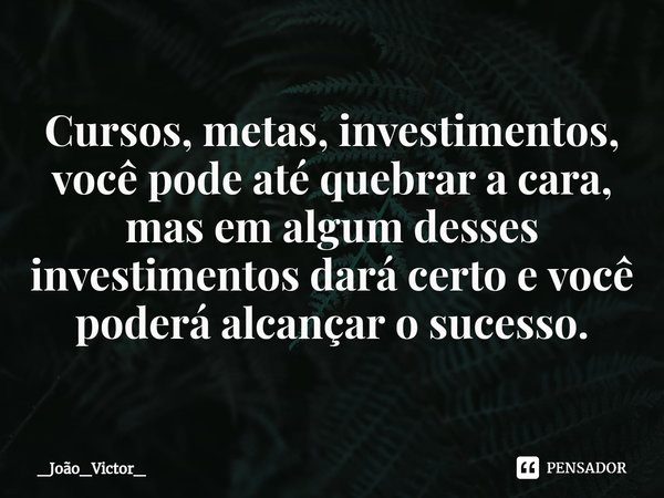 ⁠Cursos, metas, investimentos, você pode até quebrar a cara, mas em algum desses investimentos dará certo e você poderá alcançar o sucesso.... Frase de _João_Victor_.