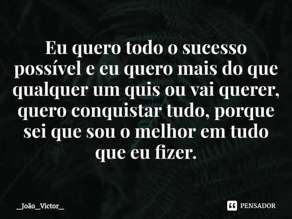 ⁠Eu quero todo o sucesso possível e eu quero mais do que qualquer um quis ou vai querer, quero conquistar tudo, porque sei que sou o melhor em tudo que eu fizer... Frase de _João_Victor_.