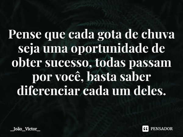 ⁠Pense que cada gota de chuva seja uma oportunidade de obter sucesso, todas passam por você, basta saber diferenciar cada um deles.... Frase de _João_Victor_.