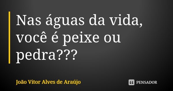 Nas águas da vida, você é peixe ou pedra???... Frase de João Vitor Alves de Araújo.