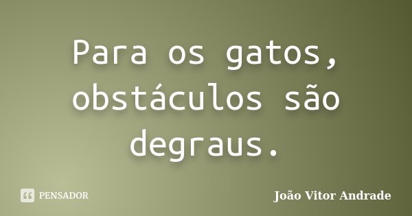 Para os gatos, obstáculos são degraus.... Frase de João Vitor Andrade.