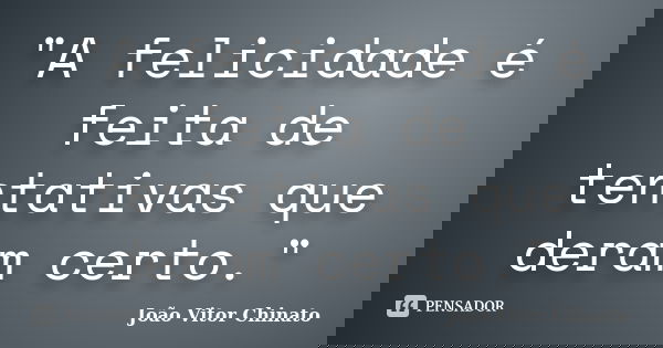 "A felicidade é feita de tentativas que deram certo."... Frase de João Vitor Chinato.