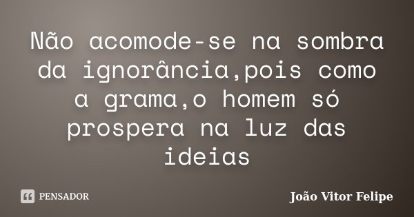 Não acomode-se na sombra da ignorância,pois como a grama,o homem só prospera na luz das ideias... Frase de João Vitor Felipe.