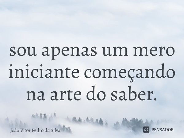 ⁠sou apenas um mero iniciante começando na arte do saber.... Frase de João vitor pedro da silva.