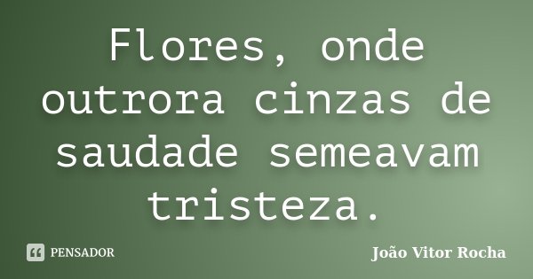 Flores, onde outrora cinzas de saudade semeavam tristeza.... Frase de João Vitor Rocha.
