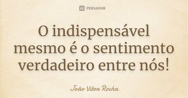 O indispensável mesmo é o sentimento verdadeiro entre nós!... Frase de João Vitor Rocha.