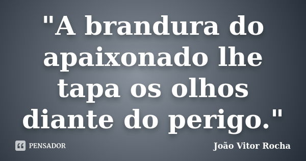 "A brandura do apaixonado lhe tapa os olhos diante do perigo."... Frase de João Vitor Rocha.