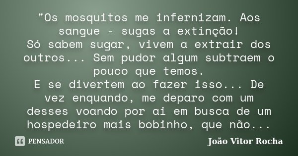 "Os mosquitos me infernizam. Aos sangue - sugas a extinção! Só sabem sugar, vivem a extrair dos outros... Sem pudor algum subtraem o pouco que temos. E se ... Frase de João Vitor Rocha.
