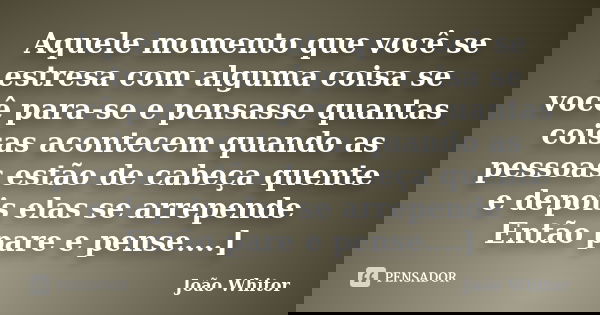 Aquele momento que você se estresa com alguma coisa se você para-se e pensasse quantas coisas acontecem quando as pessoas estão de cabeça quente e depois elas s... Frase de João Whitor.