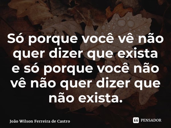 ⁠Só porque você vê não quer dizer que exista e só porque você não vê não quer dizer que não exista.... Frase de João Wilson Ferreira de Castro.