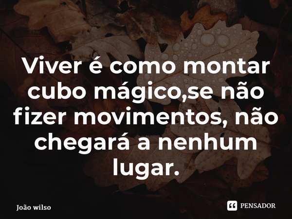 ⁠Viver é como montar cubo mágico,se não fizer movimentos, não chegará a nenhum lugar.... Frase de João Wilson Ferreira de Castro.