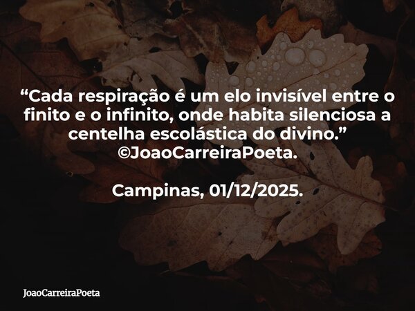 ⁠“Cada respiração é um elo invisível entre o finito e o infinito, onde habita silenciosa a centelha escolástica do divino.” ©JoaoCarreiraPoeta. Campinas, 01/12/... Frase de JoaoCarreiraPoeta.