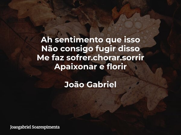 Ah sentimento que isso Não consigo fugir disso Me faz sofrer.chorar.sorrir Apaixonar e florir João Gabriel... Frase de Joaogabriel Soarespimenta.