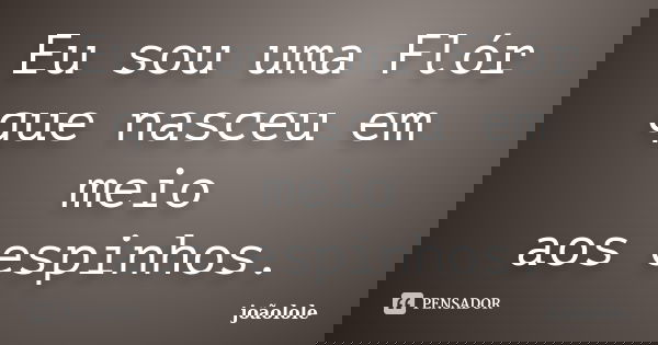 Eu sou uma Flór que nasceu em meio aos espinhos.... Frase de joaolole.