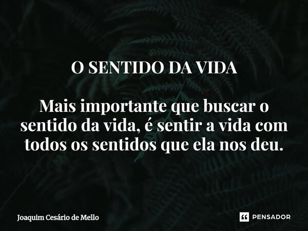 ⁠O SENTIDO DA VIDA Mais importante que buscar o sentido da vida, é sentir a vida com todos os sentidos que ela nos deu.... Frase de Joaquim Cesário de Mello.