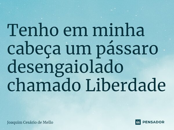 ⁠Tenho em minha cabeça um pássaro desengaiolado chamado Liberdade... Frase de Joaquim Cesário de Mello.