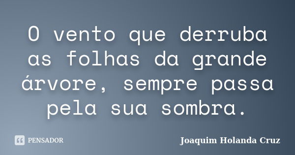 O vento que derruba as folhas da grande árvore, sempre passa pela sua sombra.... Frase de Joaquim Holanda Cruz.