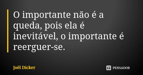 O importante não é a queda, pois ela é inevitável, o importante é reerguer-se.... Frase de Joël Dicker.