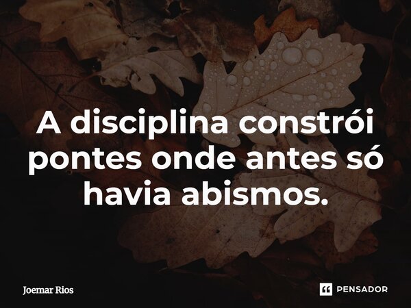 ⁠A disciplina constrói pontes onde antes só havia abismos.... Frase de Joemar Rios.