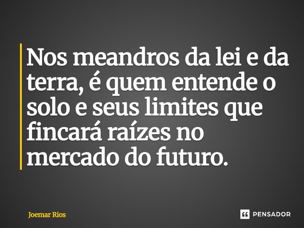 ⁠Nos meandros da lei e da terra, é quem entende o solo e seus limites que fincará raízes no mercado do futuro.... Frase de Joemar Rios.