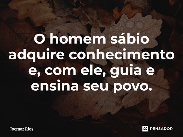 ⁠O homem sábio adquire conhecimento e, com ele, guia e ensina seu povo.... Frase de Joemar Rios.