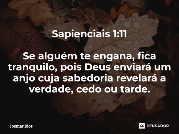⁠Sapienciais 1:11 Se alguém te engana, fica tranquilo, pois Deus enviará um anjo cuja sabedoria revelará a verdade, cedo ou tarde.... Frase de Joemar Rios.