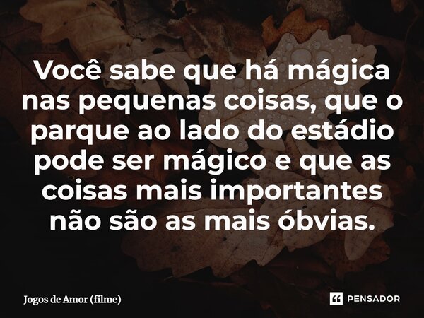 ⁠Você sabe que há mágica nas pequenas coisas, que o parque ao lado do estádio pode ser mágico e que as coisas mais importantes não são as mais óbvias.... Frase de Jogos de Amor (filme).