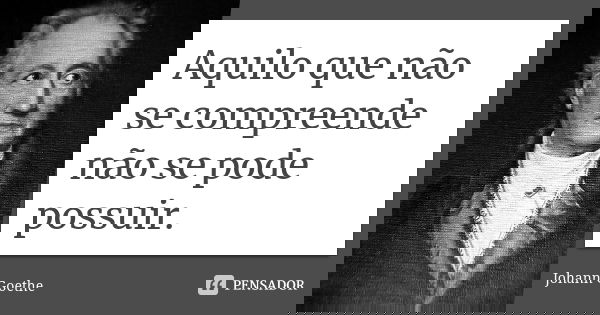 Aquilo que não se compreende não se pode possuir.... Frase de Johann Goethe.