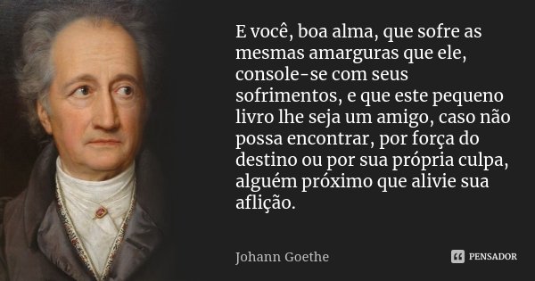 E você, boa alma, que sofre as mesmas amarguras que ele, console-se com seus sofrimentos, e que este pequeno livro lhe seja um amigo, caso não possa encontrar, ... Frase de Johann Goethe.