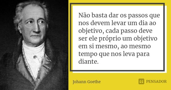 Não basta dar os passos que nos devem levar um dia ao objetivo, cada passo deve ser ele próprio um objetivo em si mesmo, ao mesmo tempo que nos leva para diante... Frase de Johann Goethe.