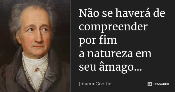 Não se haverá de compreender por fim a natureza em seu âmago...... Frase de Johann Goethe.