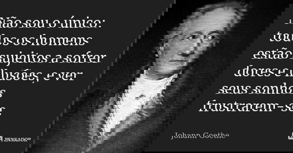 Não sou o único: todos os homens estão sujeitos a sofrer dores e ilusões, e ver seus sonhos frustrarem-se.... Frase de Johann Goethe.