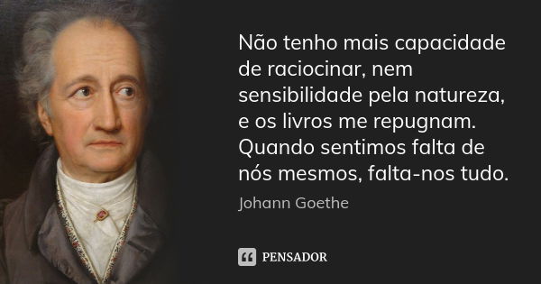 Não tenho mais capacidade de raciocinar, nem sensibilidade pela natureza, e os livros me repugnam. Quando sentimos falta de nós mesmos, falta-nos tudo.... Frase de Johann Goethe.