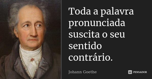Toda a palavra pronunciada suscita o seu sentido contrário.... Frase de Johann Goethe.