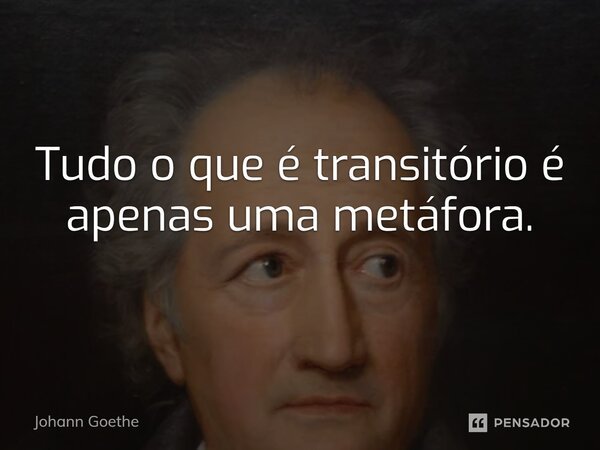 ⁠Tudo o que é transitório é apenas uma metáfora.... Frase de Johann Goethe.