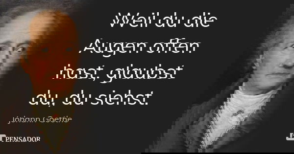 Weil du die Augen offen hast, glaubst du, du siehst.... Frase de Johann Goethe.