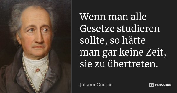 Wenn man alle Gesetze studieren sollte, so hätte man gar keine Zeit, sie zu übertreten.... Frase de Johann Goethe.
