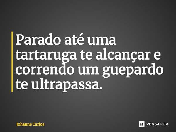 ⁠Parado até uma tartaruga te alcançar e correndo um guepardo te ultrapassa.... Frase de Johanne Carlos.