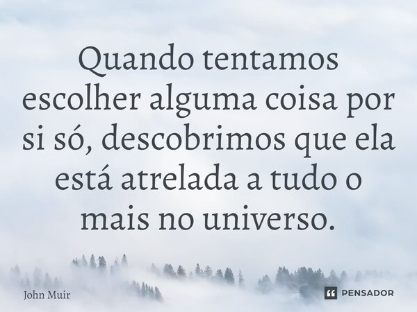 Quando tentamos escolher alguma coisa por si só, descobrimos que ela está atrelada a tudo o mais no universo.... Frase de John Muir.