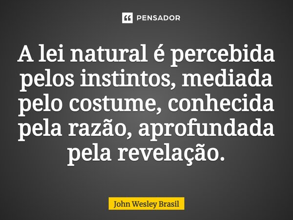 ⁠A lei natural é percebida pelos instintos, mediada pelo costume, conhecida pela razão, aprofundada pela revelação.... Frase de John Wesley Brasil.