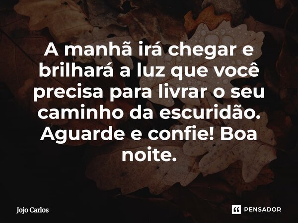 A manhã irá chegar e brilhará a luz que você precisa para livrar o seu caminho da escuridão. Aguarde e confie! Boa noite.... Frase de Jojo Carlos.