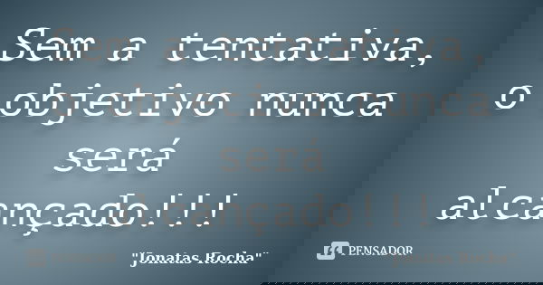 Sem a tentativa, o objetivo nunca será alcançado!!!... Frase de 