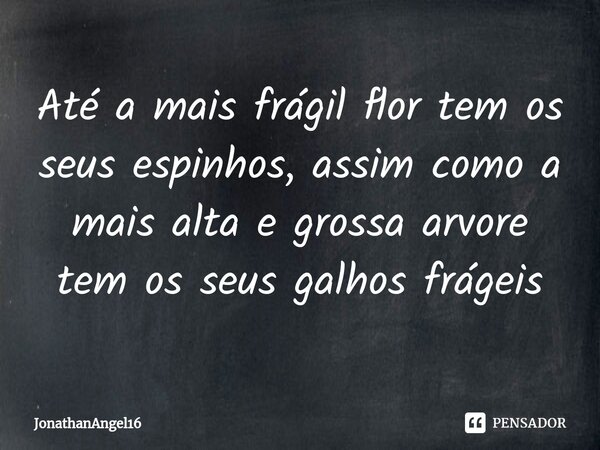 ⁠Até a mais frágil flor tem os seus espinhos, assim como a mais alta e grossa arvore tem os seus galhos frágeis... Frase de JonathanAngel16.