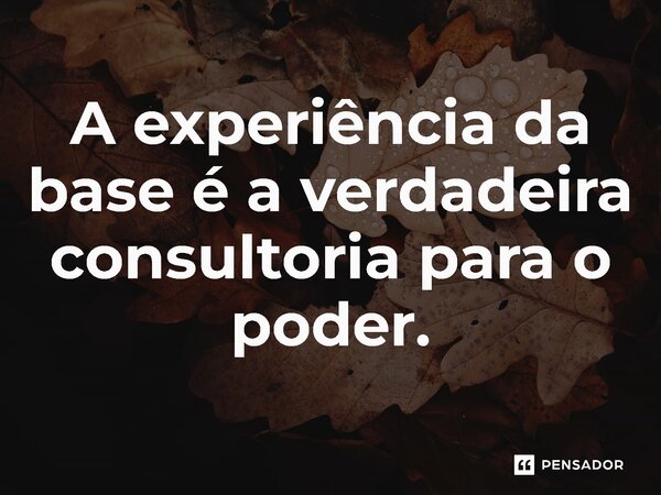 ⁠A experiência da base é a verdadeira consultoria para o poder.... Frase de Jones Donizette.
