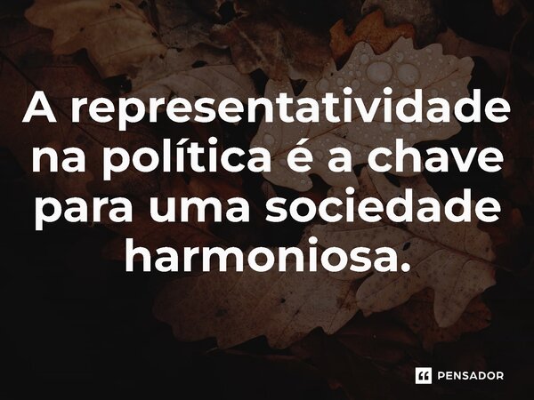 ⁠A representatividade na política é a chave para uma sociedade harmoniosa.... Frase de Jones Donizette.