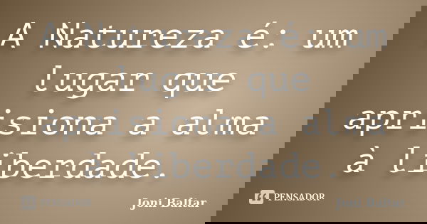 A Natureza é: um lugar que aprisiona a alma à liberdade.... Frase de Joni Baltar.